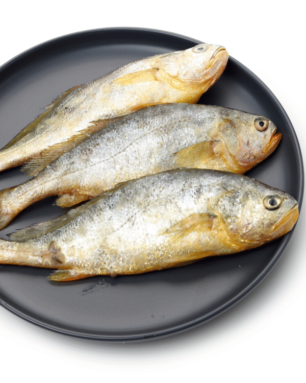 Doma / Grunter