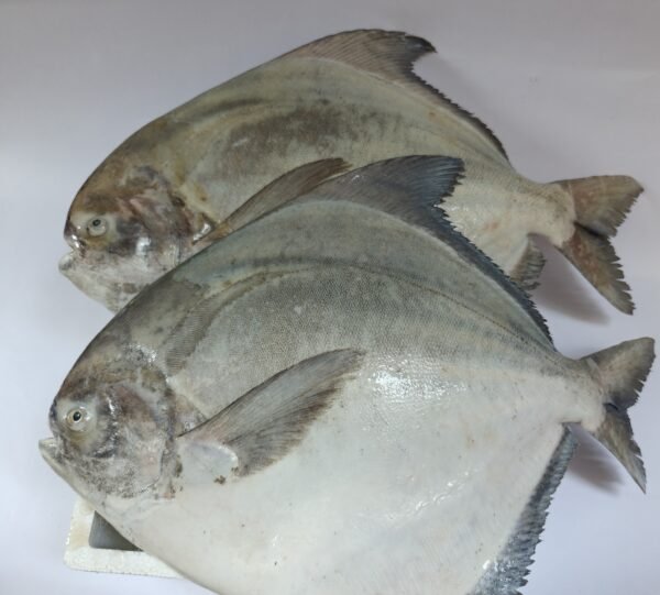 Kapri Pomfret