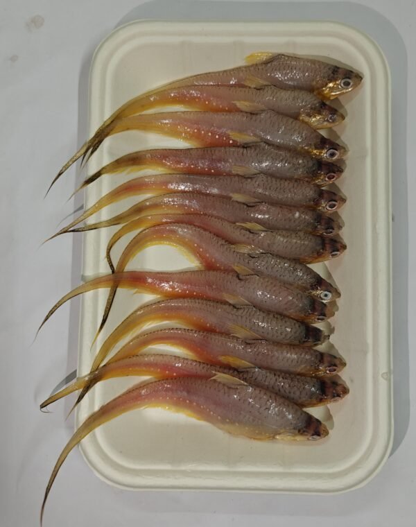 Mandeli / Golden Anchovy