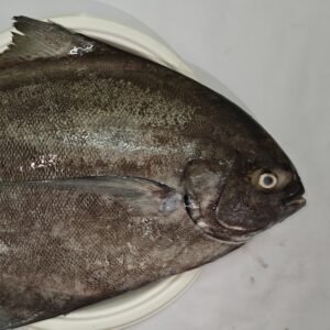 Halwa / Black Pomfret