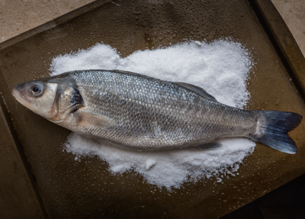 Asian Seabass / Khajura