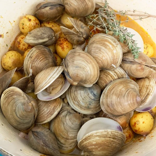 Clams / Tisrya / Shimpali